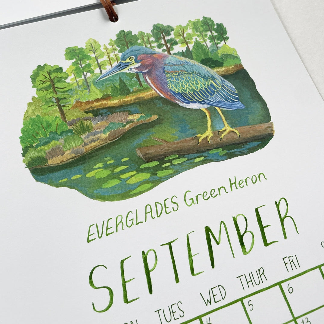 2027 Birds of the National Parks 9" x 12" Wall Calendar