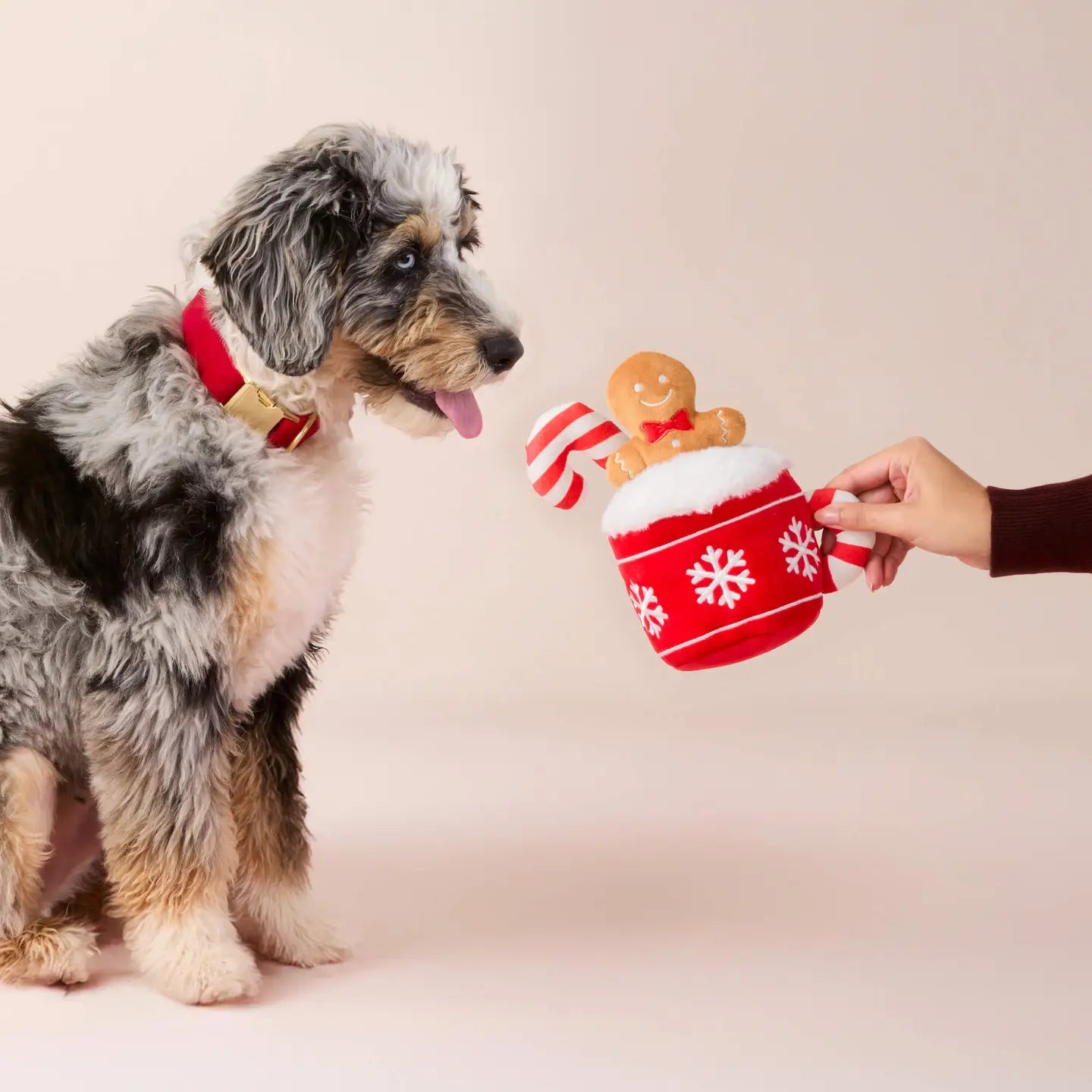 Holiday Hot Cocoa Interactive Plush Dog Toy