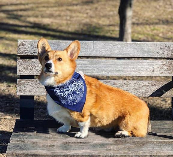 Chicago Things Dog Bandana