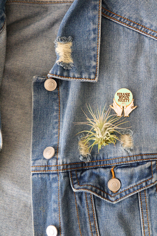 Make Something Sunday: Air Plant Pin