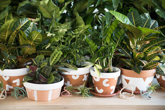 Make Something Sunday: Painted Terra Cotta Planter