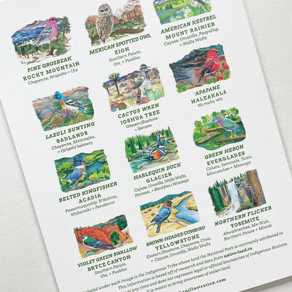 2027 Birds of the National Parks 9" x 12" Wall Calendar