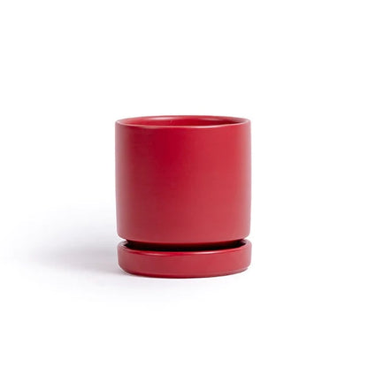 4.5" Ceramic Cylinder Planter with Plate