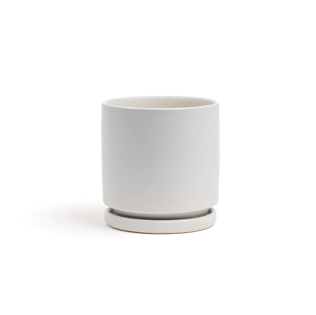 4.5" Ceramic Cylinder Planter with Plate
