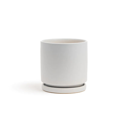 4.5" Ceramic Cylinder Planter with Plate