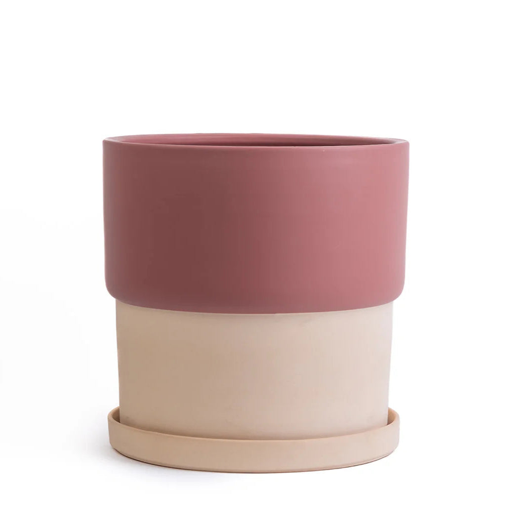 Calyx 6" Tiered Ceramic Cylinder Planter with Plate