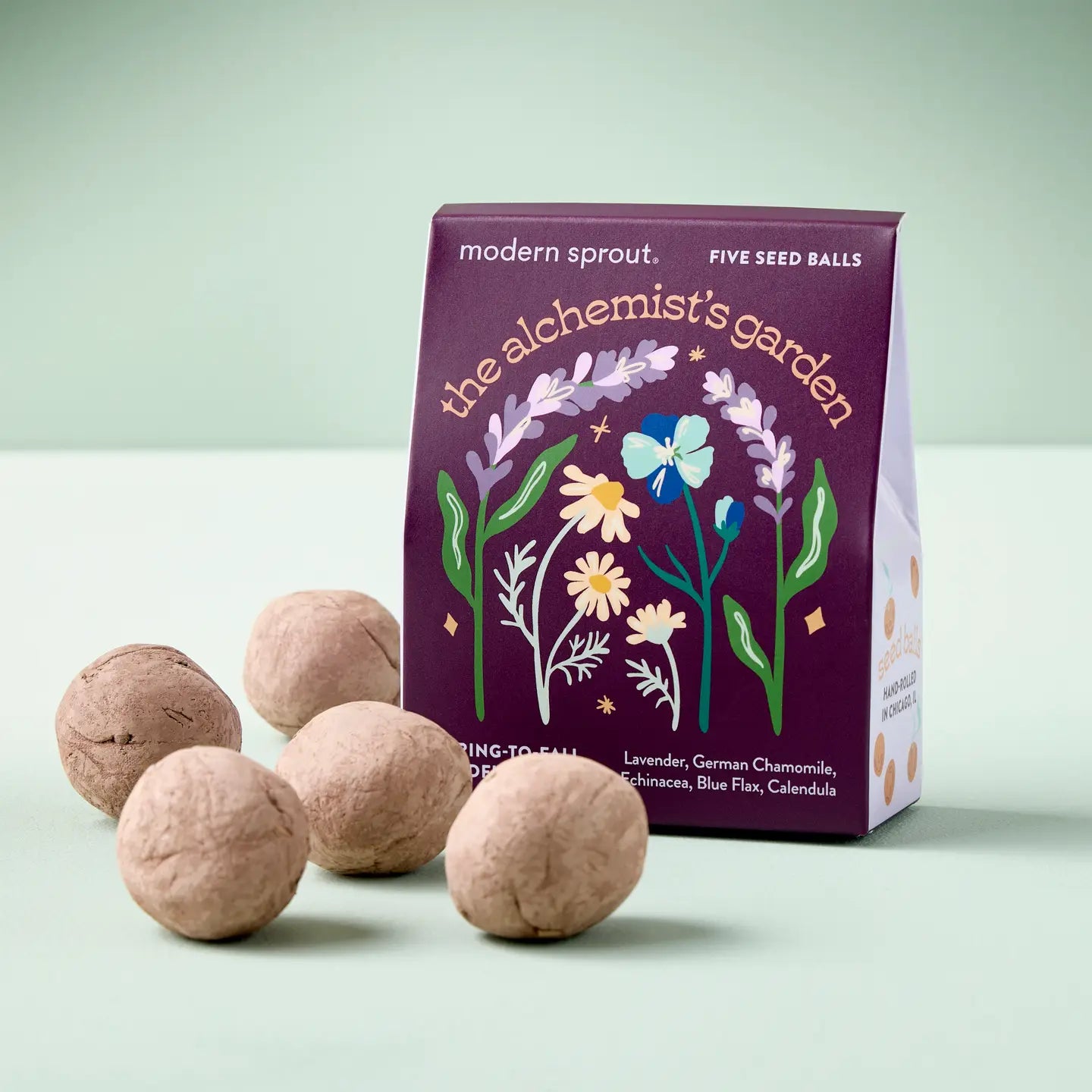 Bespoke Blooms Flower Seed Balls (Pack of 5)
