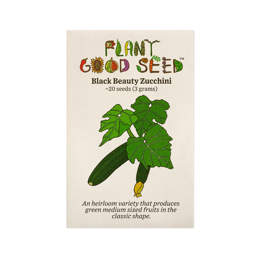 Organic Black Beauty Zucchini Seed Packet