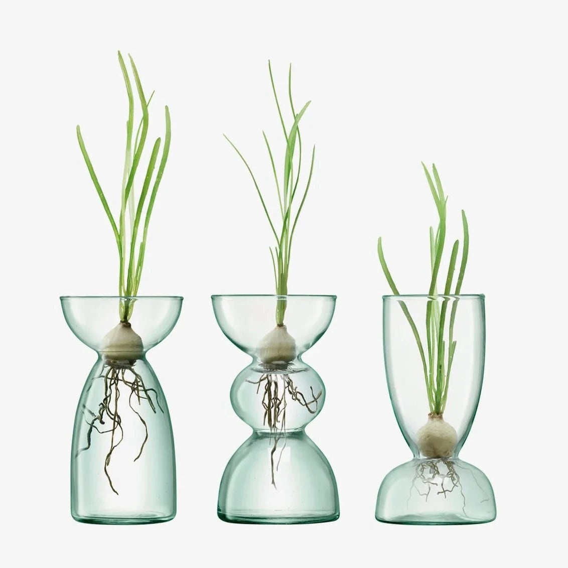 Canopy Handmade Recycled Glass Propagation Vase