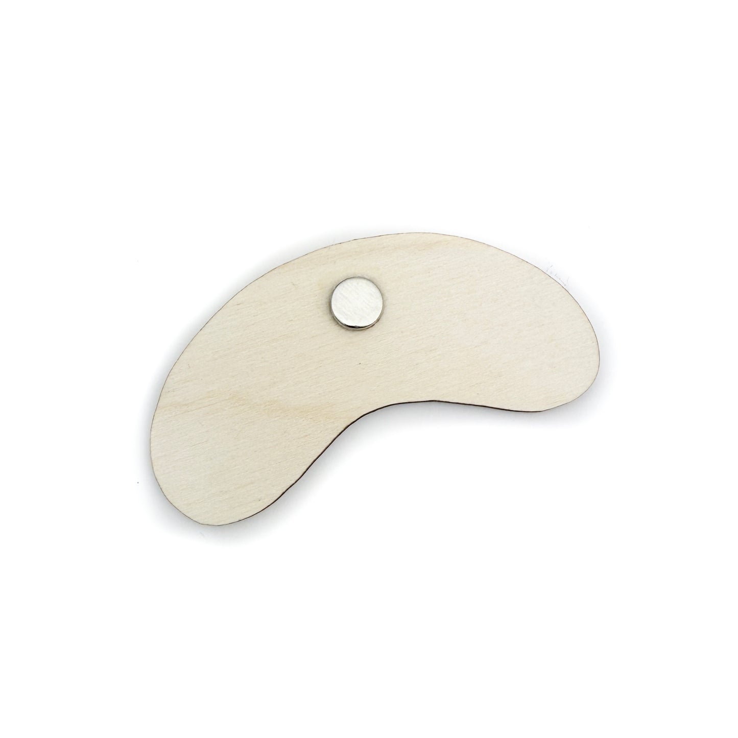 I Went to Chicago Wood Magnet Set (Pack of 5)