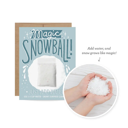 Mail a Magic Snowball Holiday Card