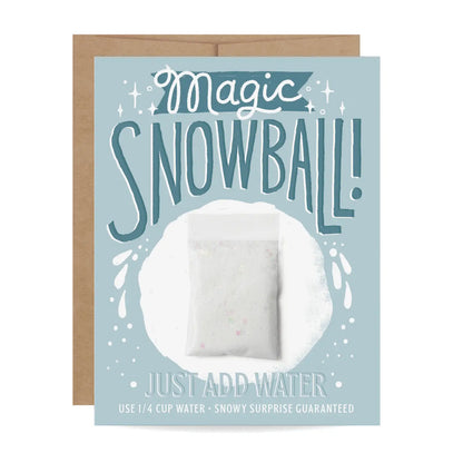 Mail a Magic Snowball Holiday Card