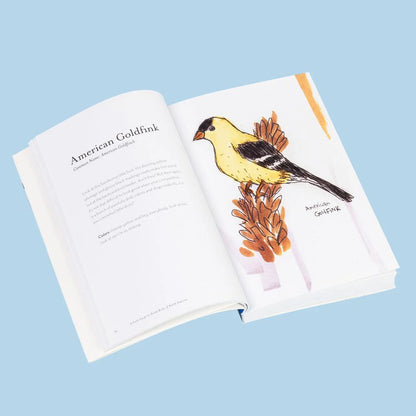 The Field Guide to Dumb Birds of North America Book