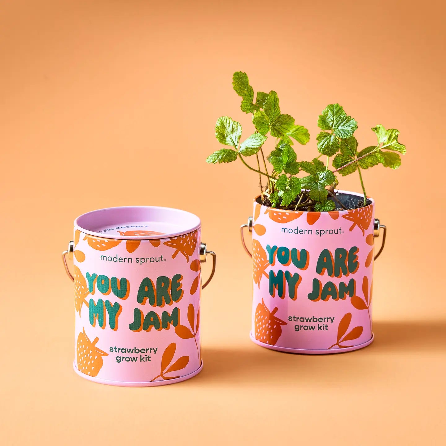 Complimentary Half-Pint Can Garden Grow Kit