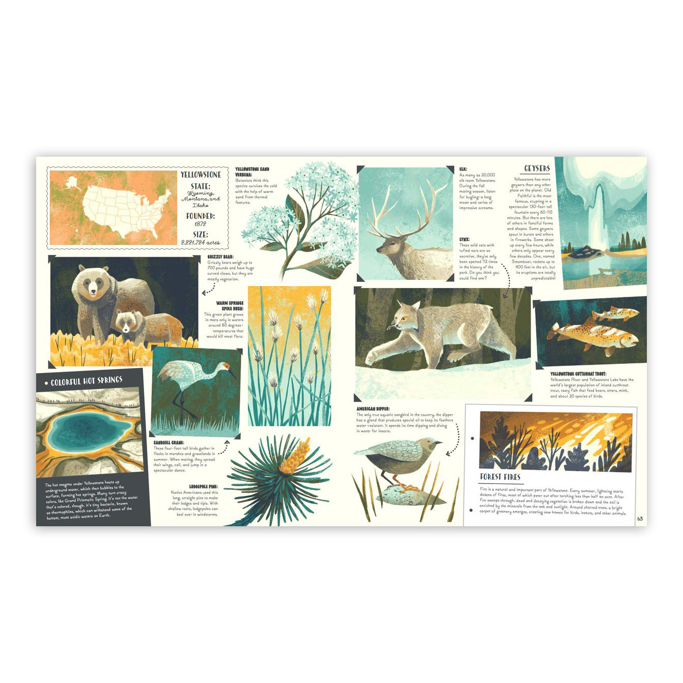 National Parks of the USA Book