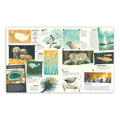National Parks of the USA Book