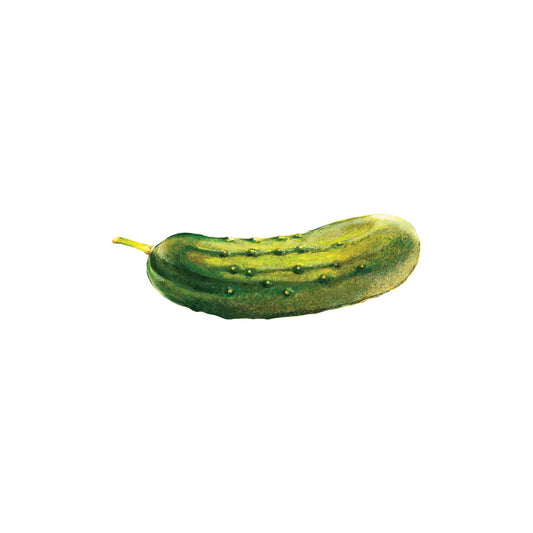 Pickle Temporary Tattoo (Pack of 2)