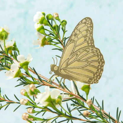 Brass Plant Animal House Plant Charm