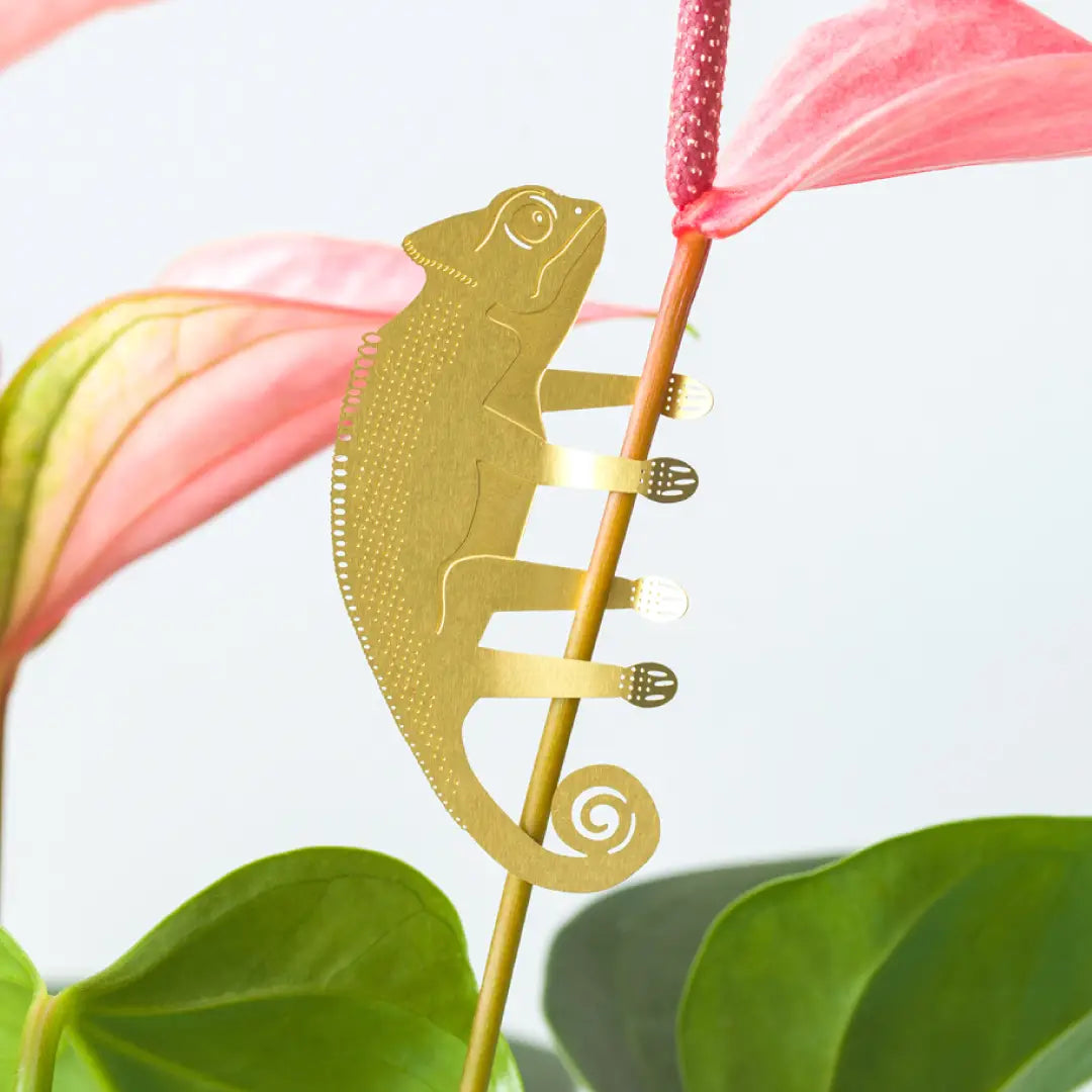 Brass Plant Animal House Plant Charm