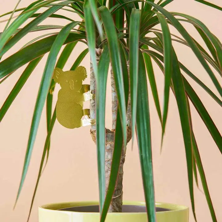 Brass Plant Animal House Plant Charm