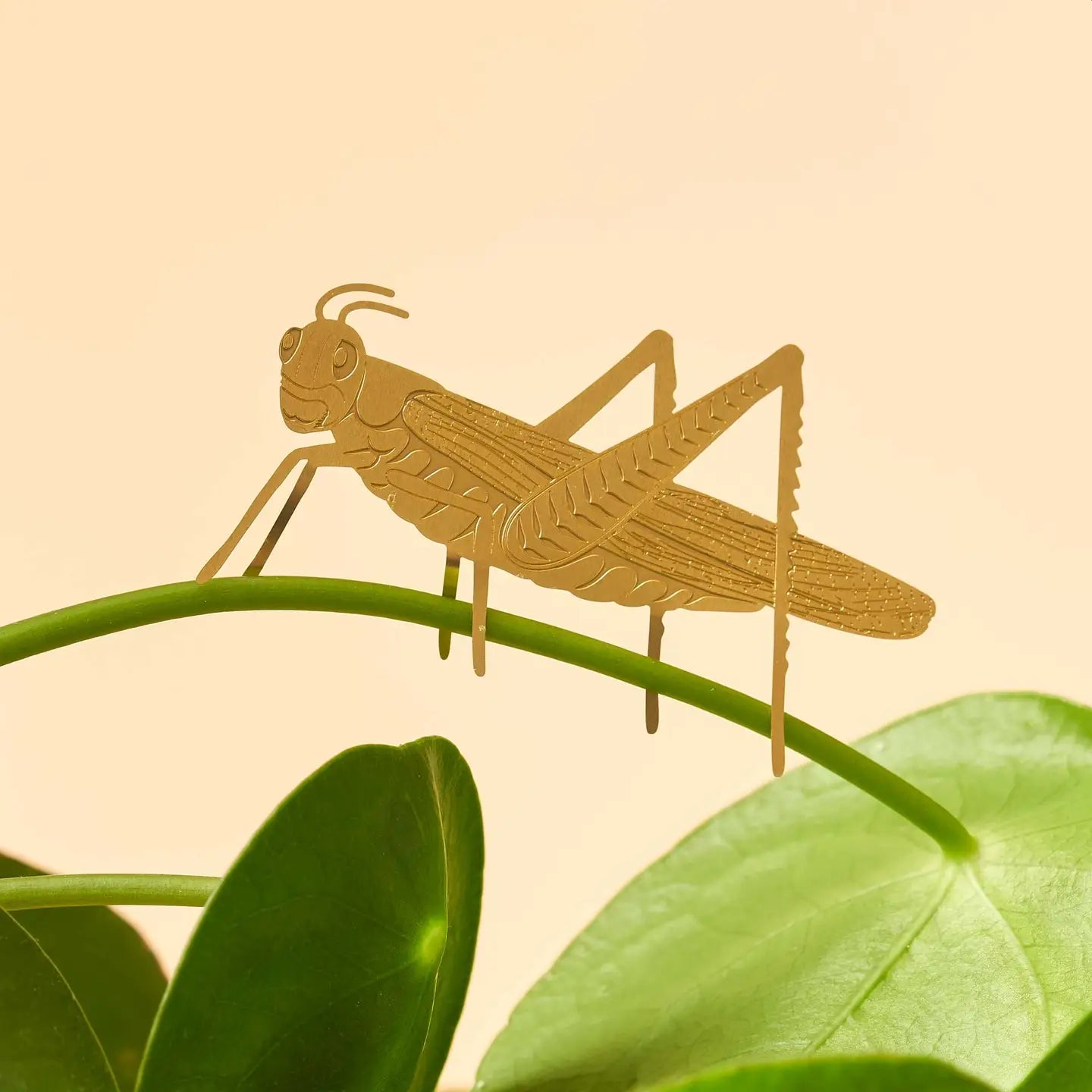 Brass Plant Animal House Plant Charm
