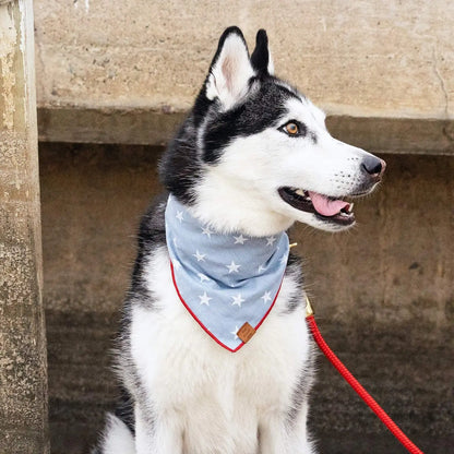 Summer Themed Cotton Dog Bandana