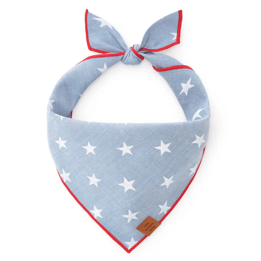 Summer Themed Cotton Dog Bandana