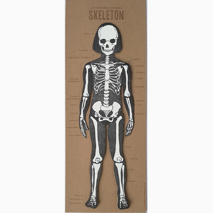 Skeleton Articulating Letterpress Figure