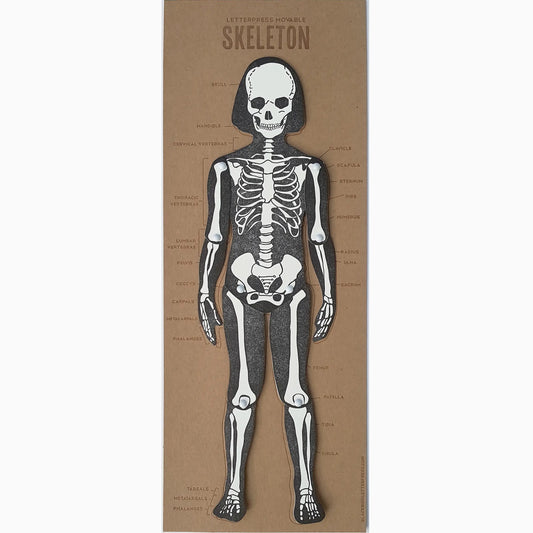 Skeleton Articulating Letterpress Figure