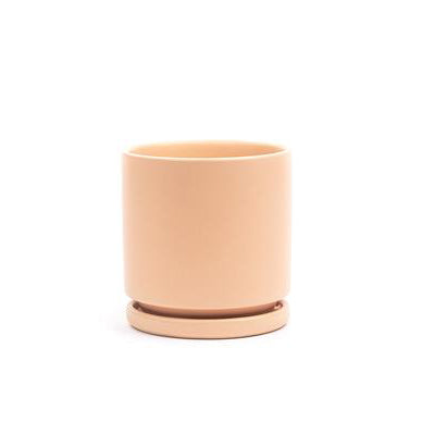 4.5" Ceramic Cylinder Planter with Plate