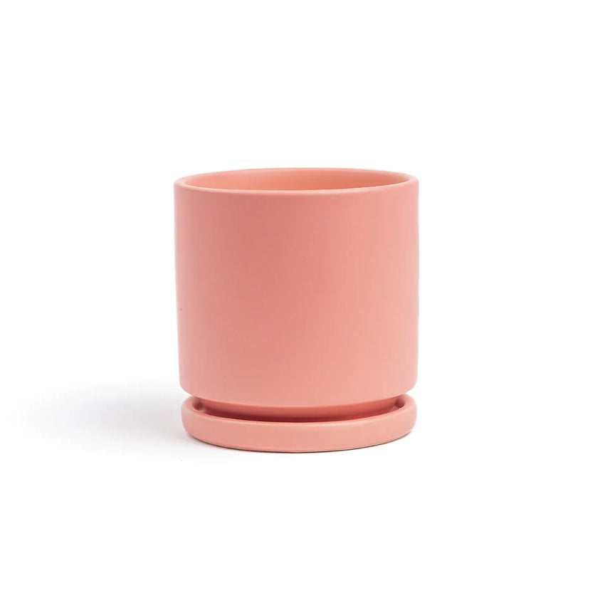 4.5" Ceramic Cylinder Planter with Plate