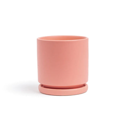 4.5" Ceramic Cylinder Planter with Plate