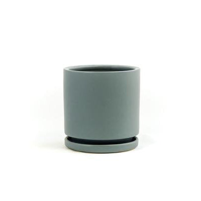 4.5" Ceramic Cylinder Planter with Plate
