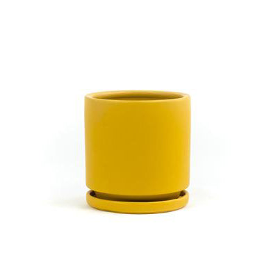 4.5" Ceramic Cylinder Planter with Plate