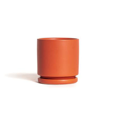 4.5" Ceramic Cylinder Planter with Plate