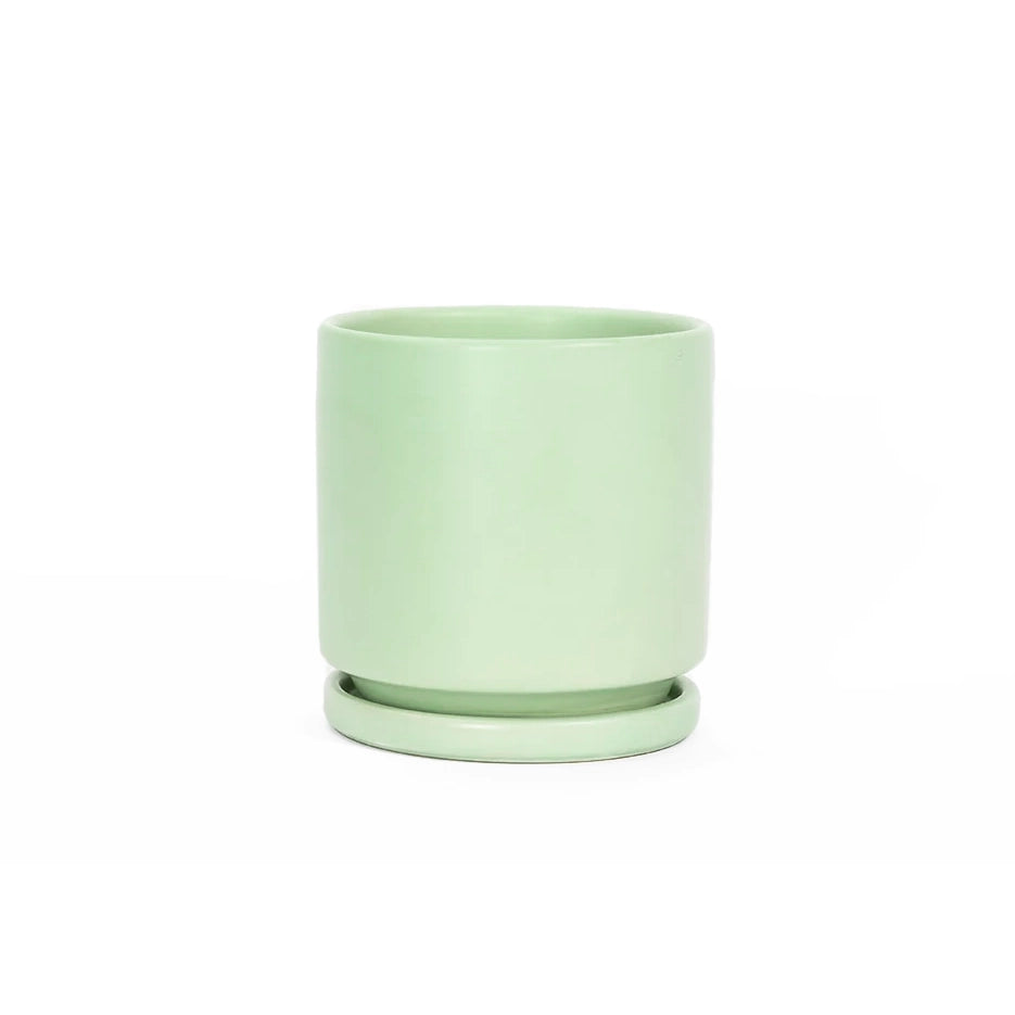 4.5" Ceramic Cylinder Planter with Plate