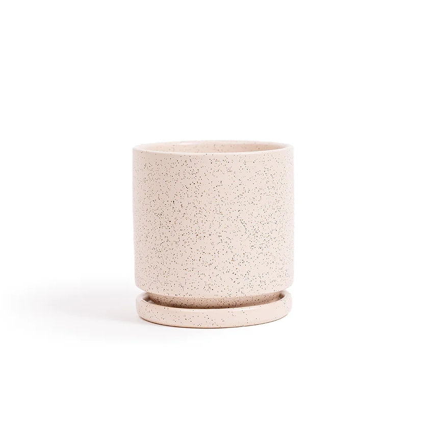 4.5" Ceramic Cylinder Planter with Plate