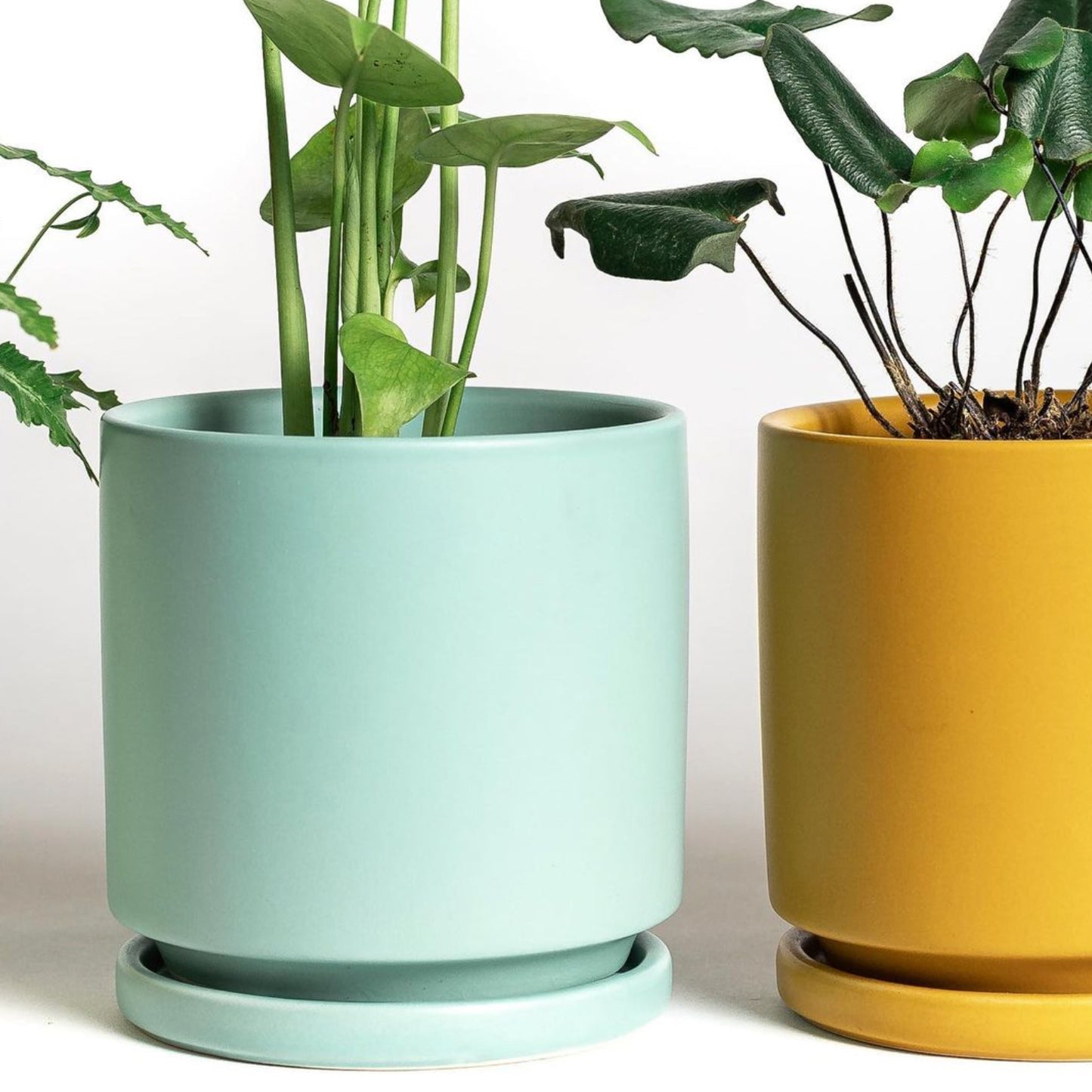 4.5" Ceramic Cylinder Planter with Plate