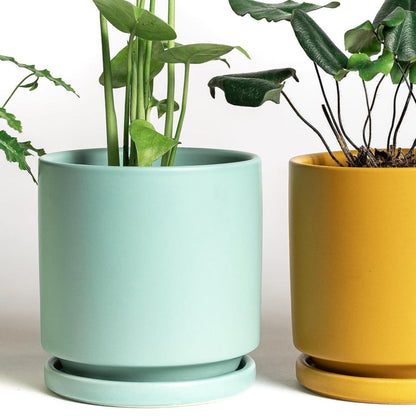 4.5" Ceramic Cylinder Planter with Plate