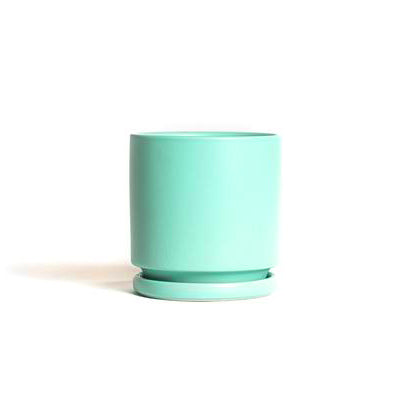 4.5" Ceramic Cylinder Planter with Plate