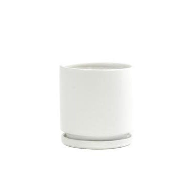 4.5" Ceramic Cylinder Planter with Plate