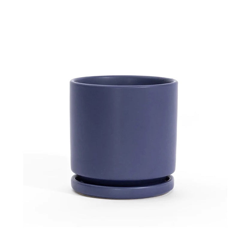 6.5" Ceramic Cylinder Planter with Plate