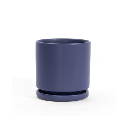 6.5" Ceramic Cylinder Planter with Plate