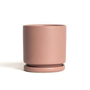 6.5" Ceramic Cylinder Planter with Plate