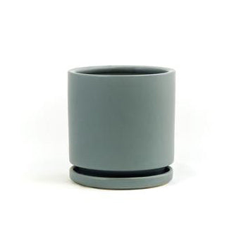 6.5" Ceramic Cylinder Planter with Plate