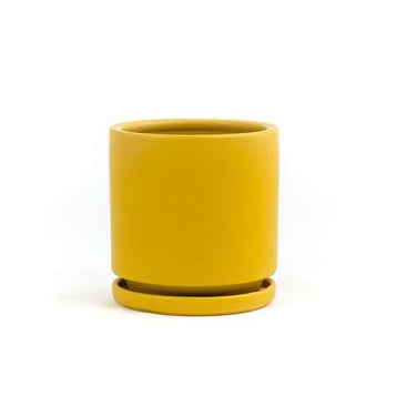 6.5" Ceramic Cylinder Planter with Plate