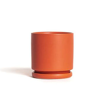6.5" Ceramic Cylinder Planter with Plate