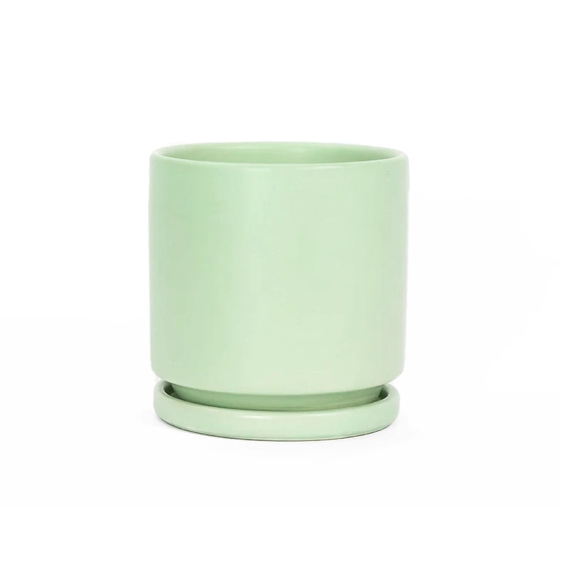 6.5" Ceramic Cylinder Planter with Plate