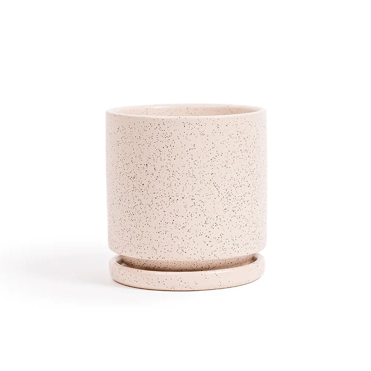 6.5" Ceramic Cylinder Planter with Plate