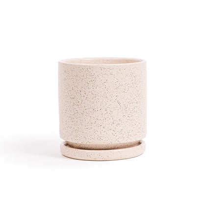 6.5" Ceramic Cylinder Planter with Plate
